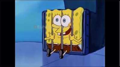 There’s a sponge among us