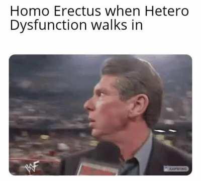 No woods in this woods