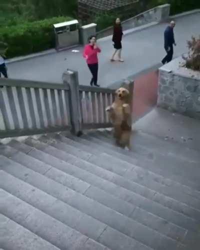 HMK while I walk up these stairs