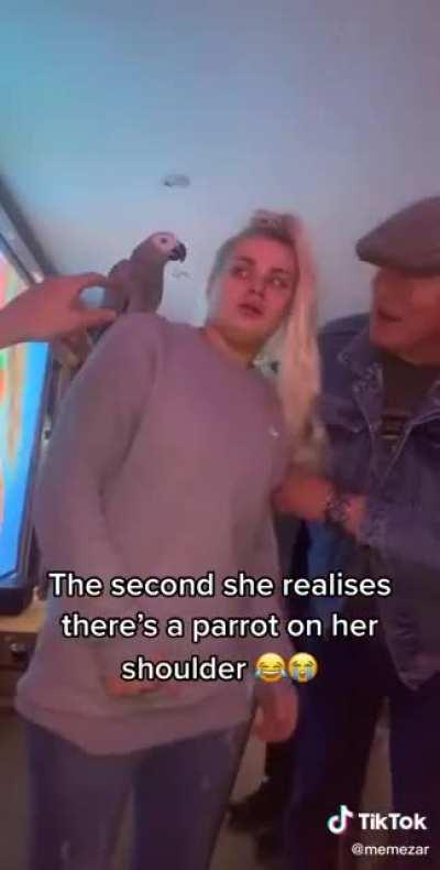 Parrots are scary