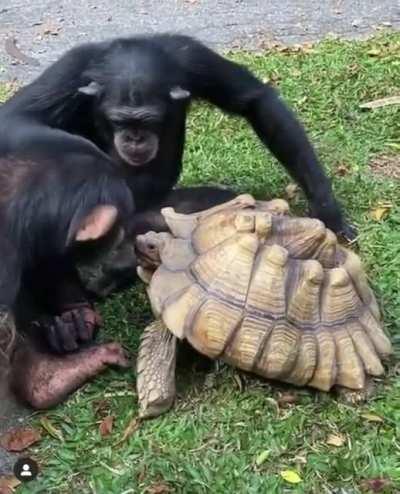 Ele olhando pra trás pra ver se alguém tá vendo kk