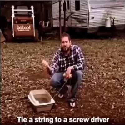 Cat litter box go boom