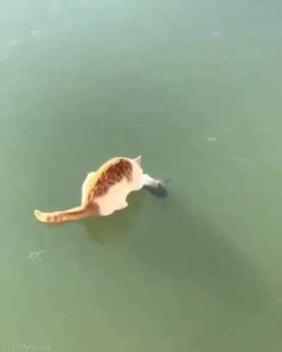 When you're really hungry but all the food is frozen and microwave broke