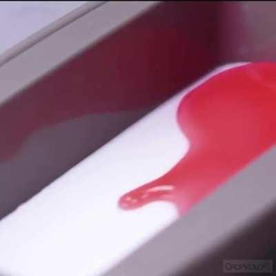 Forbidden... everything.