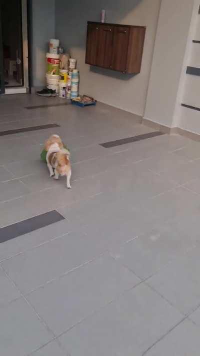 Order was successful delivered