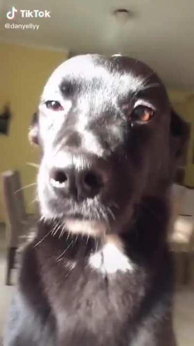 Tobia praticante de websexo 😳