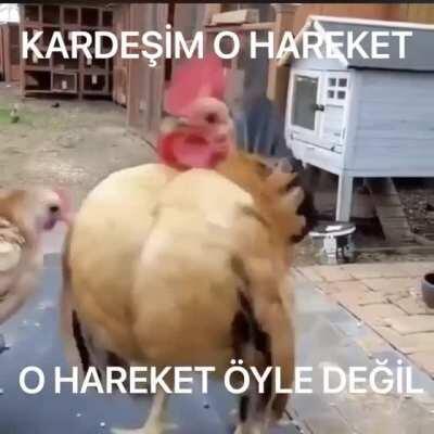 KARDEŞİM YANLIŞ YAPIYORSUN ONU