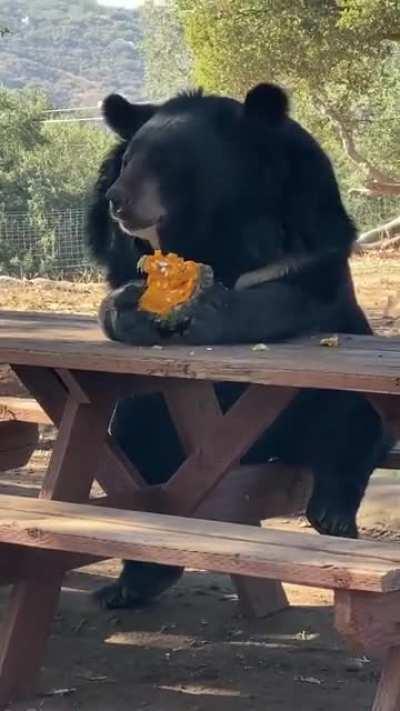 He looks like an accountant contemplating his life decisions before heading back to the office for 8 more hours.