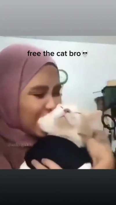 Cat gets attacked with kisses.