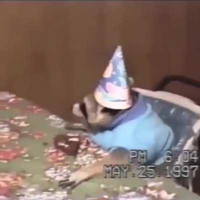 Let's all wish Annebelle a happy 23rd birthday! <3