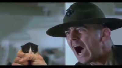 young wunk is going to get deployed soon