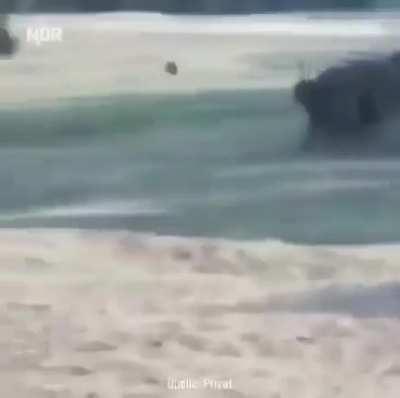 Don’t get in a rhinos territory