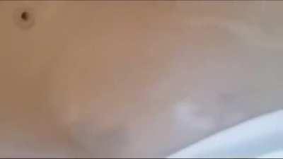 Indeed truly magnificent discovery