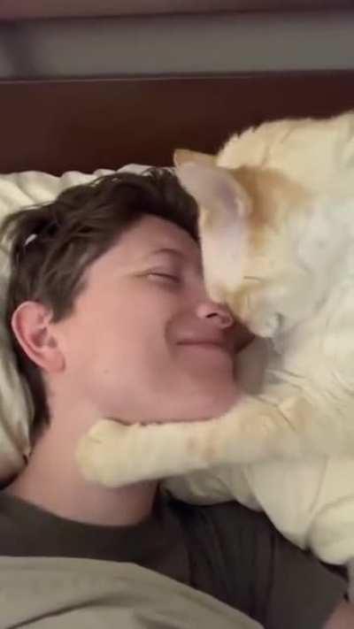 Sweet Cat wants Nose Kisses!!