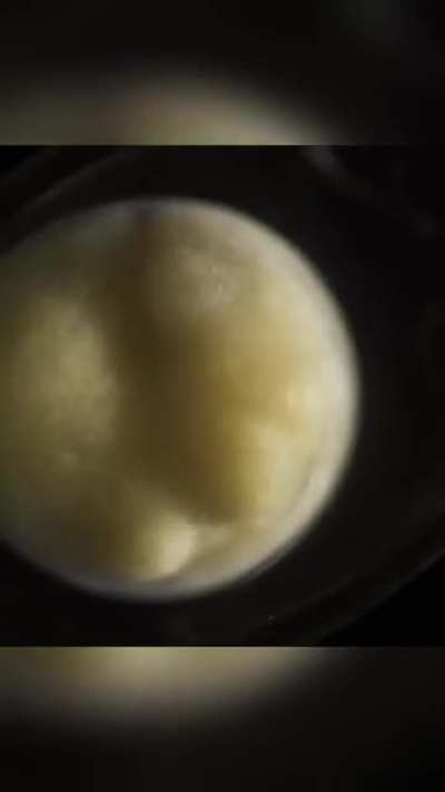 It's crazy how a cell knows how what form to take