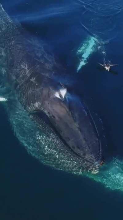 What would you have captioned this scene