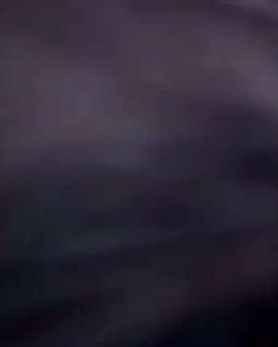 How Russians react to bears