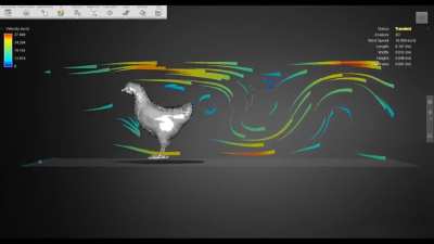 Si vous aussi, vous vous êtes toujours demandé quel serait l’aérodynamisme d’une poule si elle était placée dans une soufflerie.. voilà !