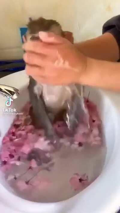 No molesten. Admin bañándose.