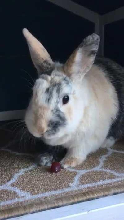 And it goes on nom and nom...