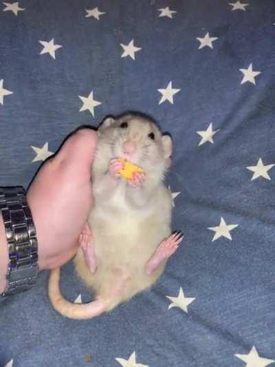 Miss Mabel is the cutest!