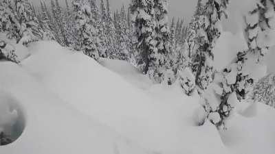 Remember to slow down. Another good morning in the Columbias