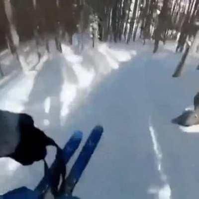 The snow at the end, such a gentle humiliation