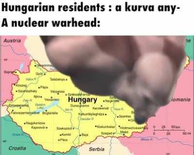 not orchestrated by the slovak government