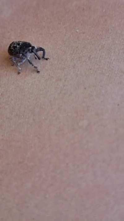 Look at him go! He is so cute, I am so happy he came to see me 🥹