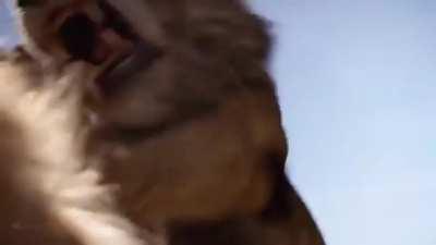 why is every kid doing this. my head hurts now