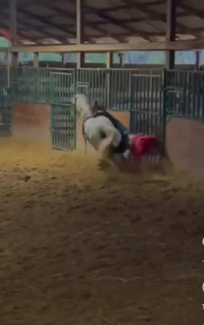 A lesson that you should definitely always wear a helmet whilst horseriding.