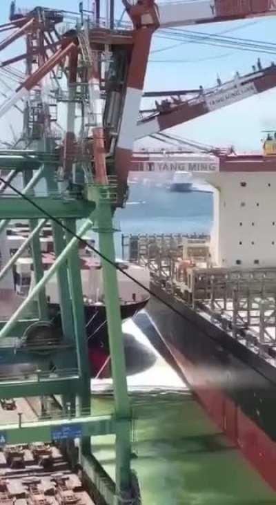 Just hit the brakes! On a ship...