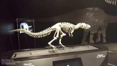 Walking dinosaur skeleton automata