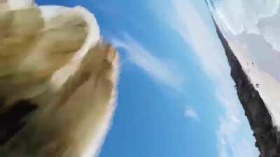 Eagle plucks a drone out of the sky and flies off with it