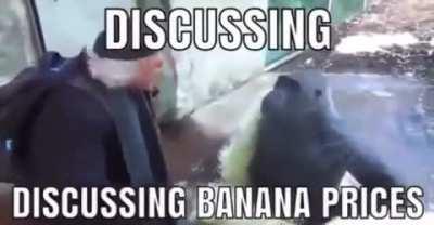 Banan