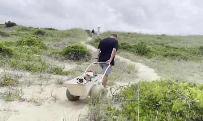 There he goes. Pug Uber