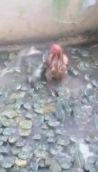 Ma dudes! Ma dudes! Ma dudes! Ma dudes! Ma dudes! Ma dudes!