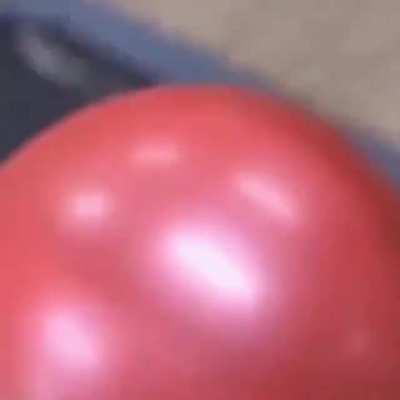 What could possibly go wrong