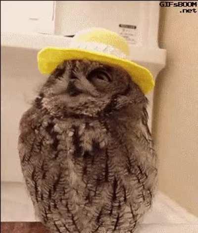 Oh I love it.. Look at me!