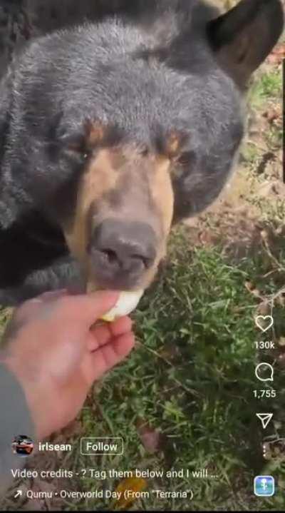 Does it walk or does it roll? Absolute sphere