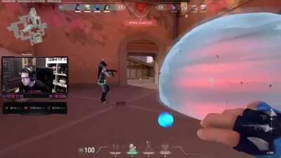 Smart Yoru ACE from EU Pro Player Linepro