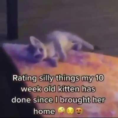 kirkland brand trailmix