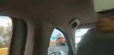 Unos burros se suben a los puentes en San Luis Potosí