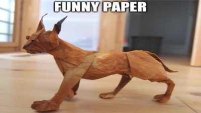 you only give me your floppa paper