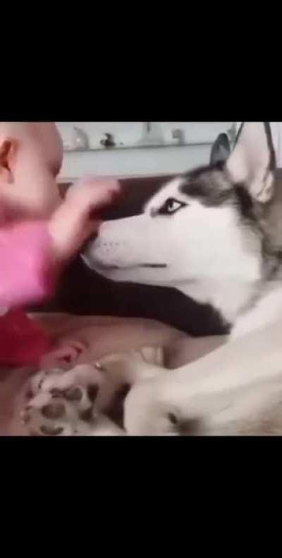 look at BOSS's expression XDDD