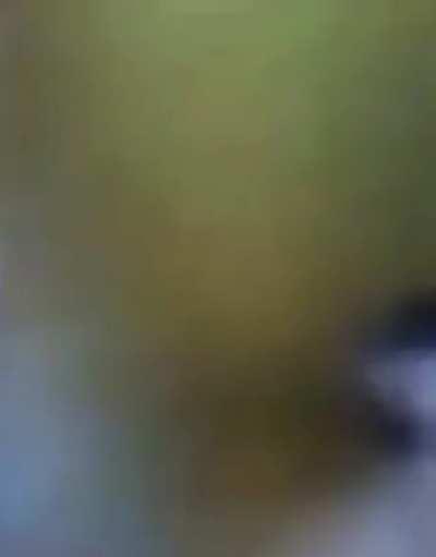 Luangameplay666 - Video #6231