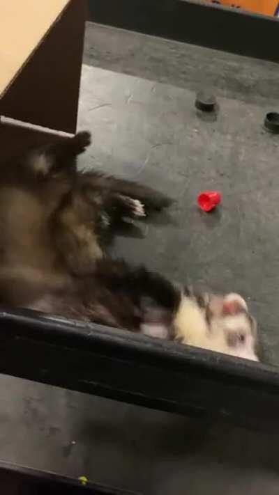 Take your Nood to work day!