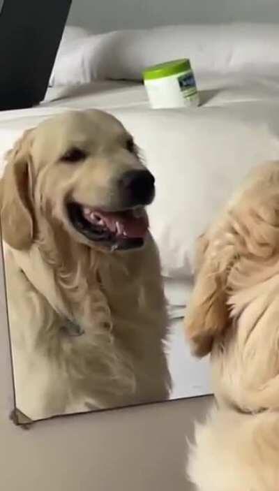 Practicing those facial expressions.