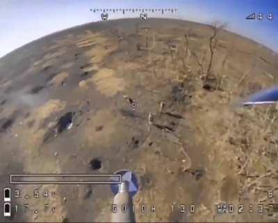 Ukrainian FPV Kamikaza drone hits near a small Russian infantry group out in the open