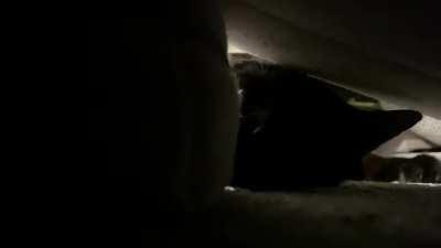 you can see his paw go back for extra power